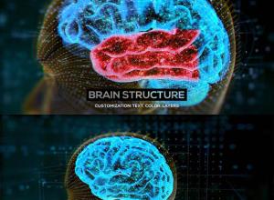 AE模板-HUD解剖学医学演示生物学人脑神经元大脑结构介绍