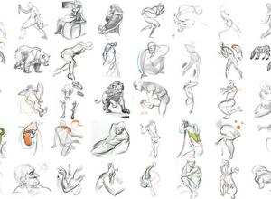 力动态表现绘画系列-FORCE-基础知识/表格/力的形状/人体解剖学