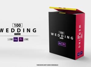 AE模板+PR预设-100组婚礼标题徽章图标元素动画 100 Wedding Titles of Love