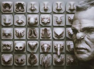 40个概念生物动物鼻子Zbrush VDM雕刻笔刷模型预设