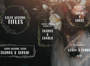 AE模板-浪漫爱情徽章花环婚礼文字标题动画 Color Wedding Titles