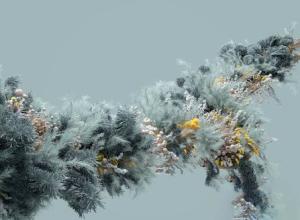 Houdini粒子特效植物生长动画教程 Helloluxx – Learn Houdini In Bloom