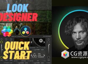电影胶片调色工具达芬奇插件 Colourlab.ai Look Designer v2.4.2 CE Win