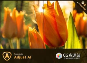 图片调节细节优化软件 Topaz Adjust AI v1.0.6 Win/Mac
