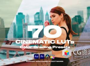 38组LUTs电影婚礼调色预设 Cinematic LUTs(FCPX/达芬奇/AE/Pr)