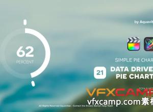 FCPX插件-21个简单饼图数据图形进度读取图示意动画