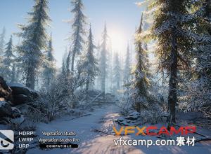 Unity冬季环境自然包 Winter Environment - Nature Pack v2.0