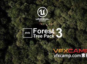 Unreal Engine-185组树木森林植物场景包 Tree and Forest Pack 03