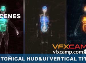 AE模板-科技感竖屏人体解剖医疗器官HUD动画 Anatomical Vertical HUD UI Titles