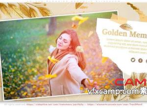 AE模板-金色回忆浪漫幻灯片照片视频开场片头 Golden Memories Romantic Slideshow