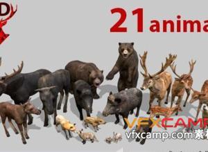 21种野生动物鹿狐狸牛野猪熊低多边形3D模型