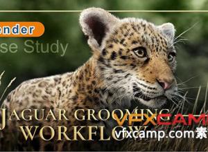 Blender美洲豹毛发制作工作流程视频教程