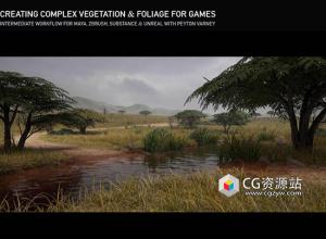 Maya创建复杂植被游戏环境视频教程