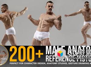 216张男性运动肌肉姿势造型解剖学参考图片