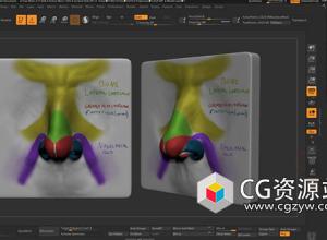 Zbrush人脸面部眼睛鼻子耳朵嘴巴雕刻视频教程