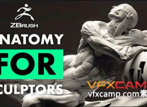 ZBrush人体基本解剖学雕刻技能视频教程