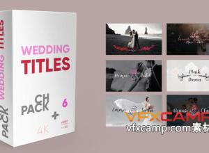 FCPX插件-6组4k创意设计浪漫线条花蔓婚礼标题动画 Wedding Titles