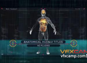 AE模板-科技感旋转线框人体器官场景HUD界面UI标题动画