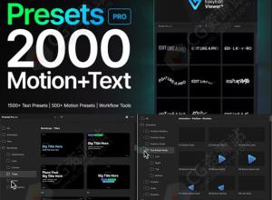 AE脚本-2000组文字标题字幕缓入缓出图层运动出入动画预设 Presets Pro 破解版