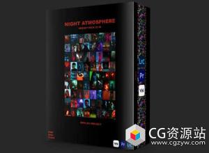 Riffflex 夜间氛围预设包人物肖像LUT调色LR预设包