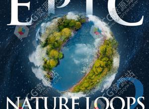 103组大自然森林户外虫鸣鸟叫水流环境无损音效