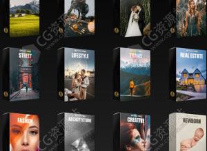 200组风景婚礼肖像街道时尚日常图片视频调色预设 Preset Power