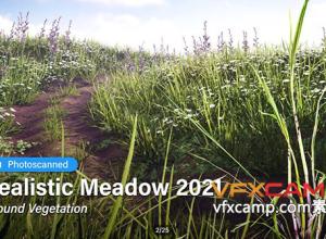 Unity真实绿色草地植被 Ground Vegetation