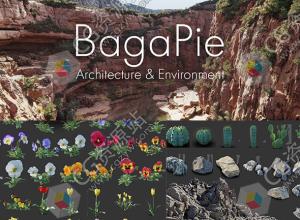Blender插件-600种环境资产植物岩石草树桩预设 Baga Pie v11.0.6