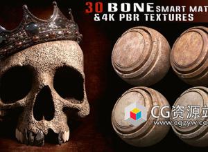 30种Substance骨头材质预设+PBR贴图素材4K