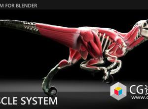 Blender肌肉系统模拟插件 X-Muscle System v4.0.7