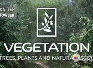 Blender树植物植被插件+预设 Tree Vegetation V5.1.1 & Assets Vol.1&2