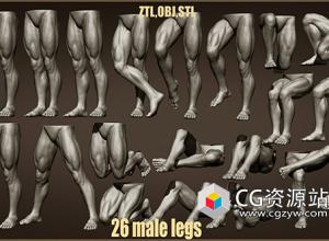 26组男腿姿势3D模型ZTL+OBJ+STL