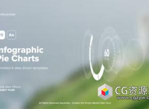 AE模板-29种信息图表饼图进度读取动画 Infographic Pie Charts
