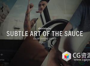 PR/达芬奇-生活场景婚礼无人机镜头调色预设