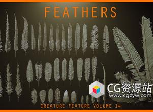 26组ZBrush羽毛笔刷预设+模型
