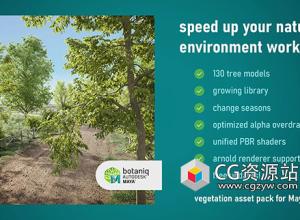 Maya预设130棵植被植物树木草地模型预设 botaniq Maya v1.0