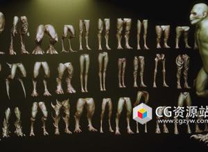 33组ZBrush生物腿脚预设模型