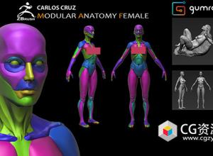 ZBrush女性雕刻解剖学人体肌肉结构模型预设+视频教程