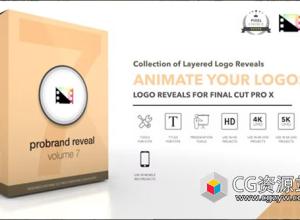 FCPX插件-30个创意预设简洁Logo展示动画