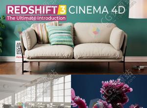 Mograph+C4D Redshift渲染器使用高级进阶视频教程+工程文件 中英文字幕