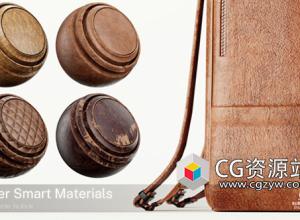 58组Substance高细节皮革智能材质预设1-2 spsm格式