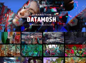 FCPX插件-52种信号损坏毛刺失真视艺术频转场特效预设