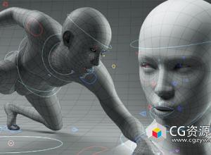 角色身体面部绑定Blender资产预设 Universal Human Body & Face Rig v3.1.0