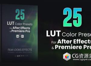 25组大气黑白电影单色3D LUT视频调色预设 25 LUTs pack
