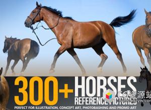 300+张马姿势造型高清参考图片300+ Horses Reference Pictures