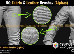 Zbrush-50个织物和皮革 Alphas笔刷预设