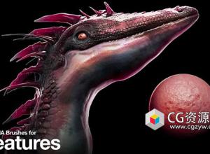 20个皮肤笔刷+20种Alpha皮革+150个昆虫微距参考图片