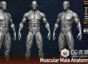 男性人体肌肉结构3D模型 OBJ/STL/FBX格式