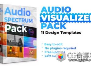 AE模板-11组音乐波形音频可视化工具包 Audio Visualizer Pack