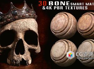 Substance painter 30种头骨材质预设+4k PBR纹理 第8卷
